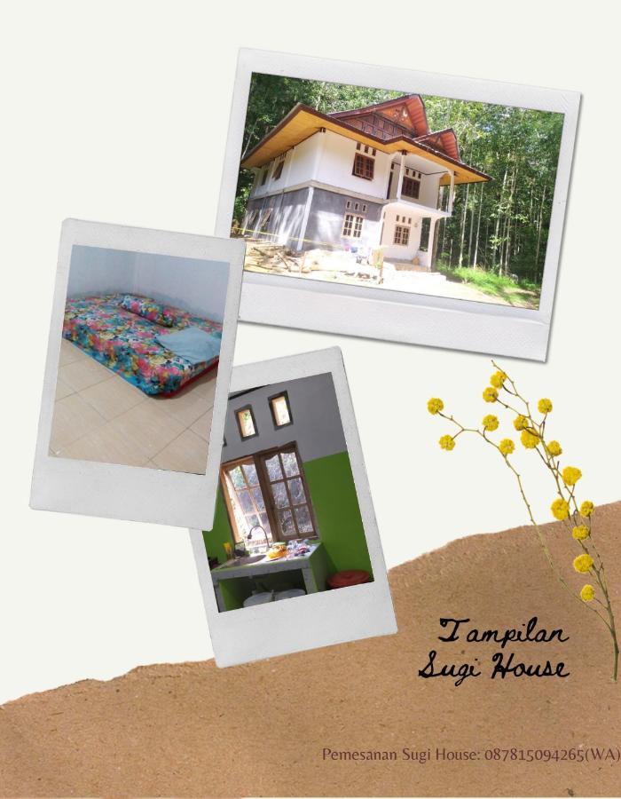 Sugi House Toraja - Villa Penginapan Sewa Harian Rantepao Exteriér fotografie