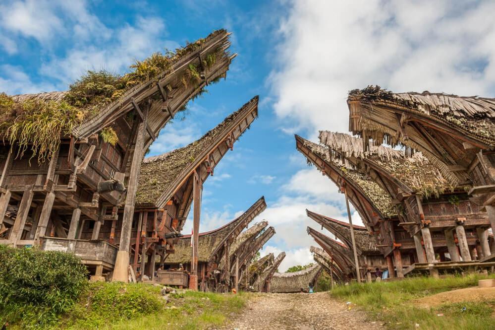 Sugi House Toraja - Villa Penginapan Sewa Harian Rantepao Exteriér fotografie